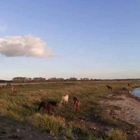 Haus 2 Linden 아파트 *