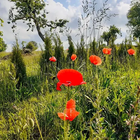 Haus 2 Linden 公寓 Lischow