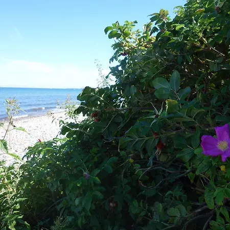 Haus 2 Linden شقة Lischow