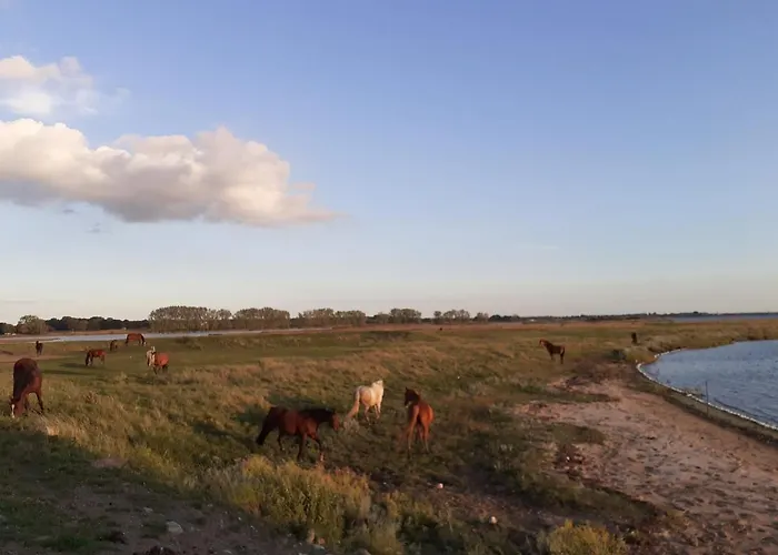 Haus 2 Linden Διαμέρισμα *