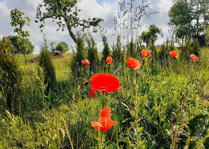 Haus 2 Linden Διαμέρισμα Lischow