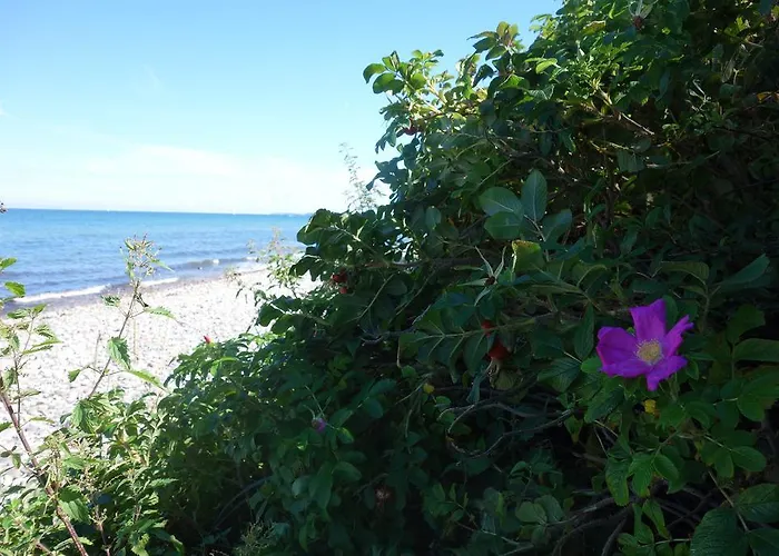 Haus 2 Linden Διαμέρισμα Lischow